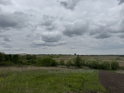 Купити ділянку, під забудову, Садова, Ременів, Кам'янка-Бузький район, id 5861964