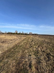 Купити ділянку, Оброшине, Пустомитівський район, id 5866194