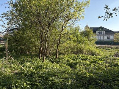 Купить участок, под застройку, галицька, Бибрка, Перемишлянский район, id 5894538