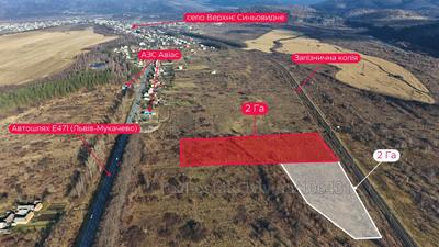 Купити ділянку, сільськогосподарського, Шевченка, Верхнє Синьовидне, Сколівський район, id 5862591