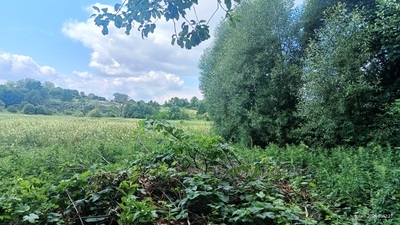 Купити ділянку, під забудову, Домажир, Яворівський район, id 5825113