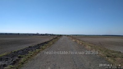 Commercial real estate for sale, Non-residential premises, село Кути, Radekhov, Radekhivskiy district, id 5899342