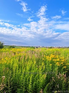 Купити ділянку, сільськогосподарського, Лесі Українки, Кам`янобрід, Яворівський район, id 5893300