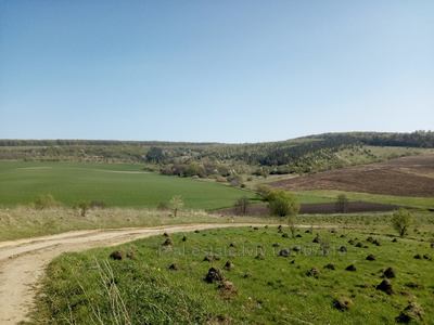 Купити ділянку, сільськогосподарського, Стрілки, Бібрка, Перемишлянський район, id 5672614