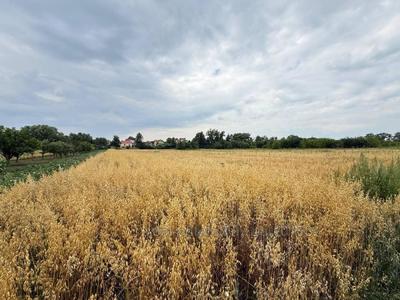Купити ділянку, під забудову, Чишки, Пустомитівський район, id 5858812