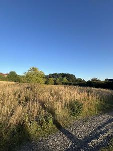 Buy a lot of land, for building, Львівська, Velikiy Lyuben, Gorodockiy district, id 5885103