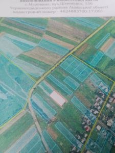 Купити ділянку, Мурованне, Сокальський район, id 5754030