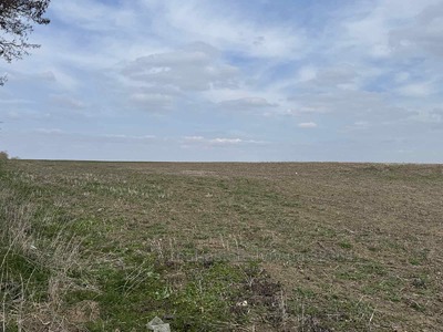 Купити ділянку, сільськогосподарського, Поршна, Пустомитівський район, id 5822273