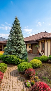 Купити будинок, Будинок, -, Вислобоки, Кам'янка-Бузький район, id 5900278