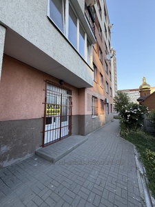 Зняти комерційну нерухомість, Житловий комплекс, Панча П. вул., 18, Львів, Шевченківський район, id 5860943