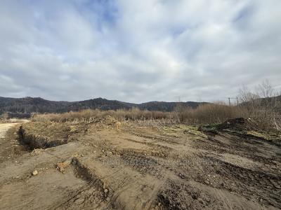 Купити ділянку, сільськогосподарського, Січових Стрільців, Верхнє Синьовидне, Сколівський район, id 5827132