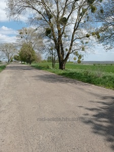 Орендувати ділянку, В.Поповича, Гряда, Жовківський район, id 4141419