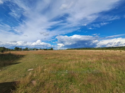 Купить участок, под застройку, R, Малиновка, Пустомытовский район, id 5893948