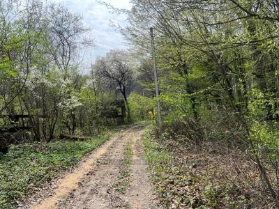 Купити ділянку, садівництво, Малі Грибовичі, Жовківський район, id 5813405