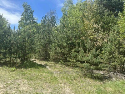 Купити ділянку, під забудову, Новобудов, Корчин, Сколівський район, id 5257154