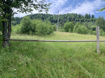 Купити ділянку, Лісова, Верхня Рожанка, Сколівський район, id 5821714