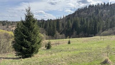 Купити ділянку, садівництво, Славсько, Сколівський район, id 5659939