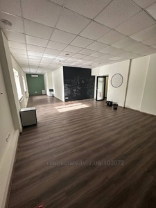 Аренда коммерческой недвижимости, Черновола В. просп., Львов, Шевченковский район, id 5890578