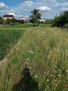 Buy a lot of land, for building, Polyanka, Pustomitivskiy district, id 5899564