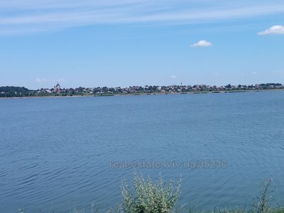 Купить участок, Гамаліївка, Гамалеевка, Пустомытовский район, id 5891344