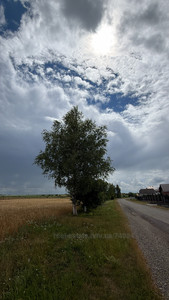Купити ділянку, під забудову, Керниця, Городоцький район, id 5886097