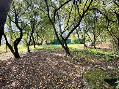 Купити ділянку, садівництво, Солонка, Пустомитівський район, id 5882689