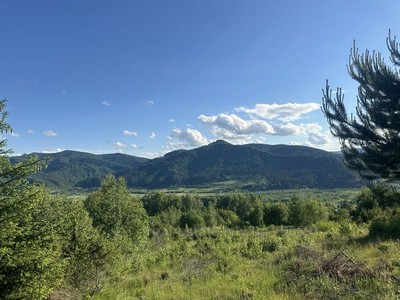 Купити ділянку, сільськогосподарського, Рибник, Дрогобицький район, id 5855322