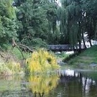 Стратиневська Галина Геннадіївна