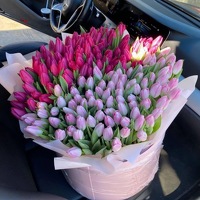 Урсул Яна Степанівна